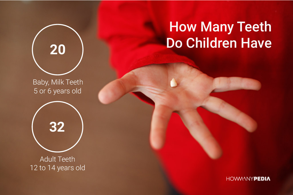 How Many Teeth Do Children Have