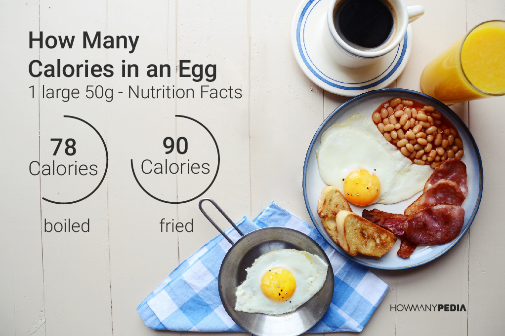 How Many Calories in an Egg Nutrition Facts