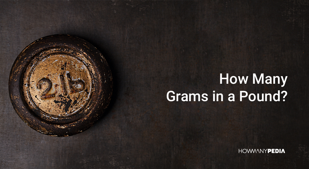 How_Many_Grams_in_a_Pound