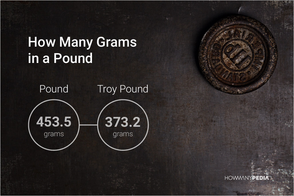 How Many Grams in a Pound