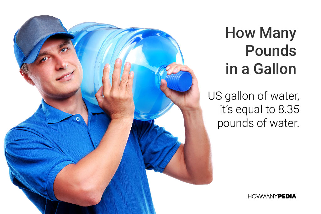 How Many Pounds in a Gallon