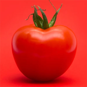 How Many Calories in a Tomato