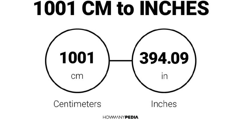 1001 CM to Inches