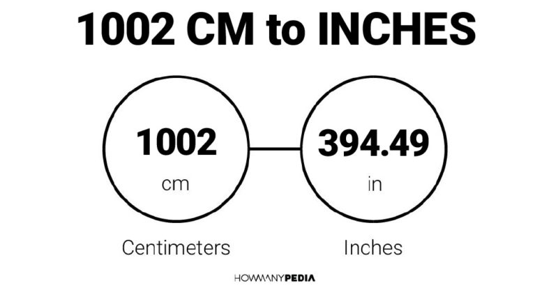 1002 CM to Inches