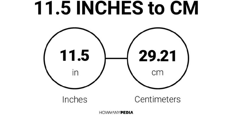 11.5 Inches to CM