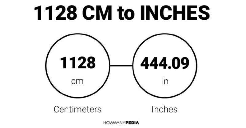 1128 CM to Inches