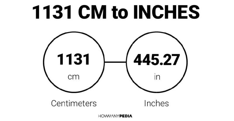 1131 CM to Inches
