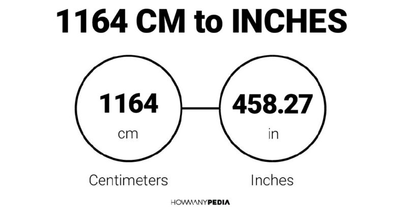 1164 CM to Inches