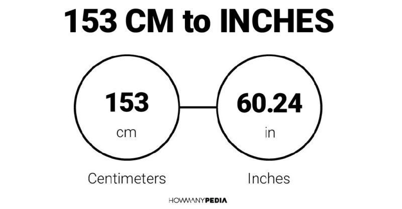 153 CM to Inches