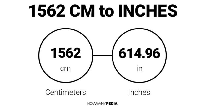 1562 CM to Inches