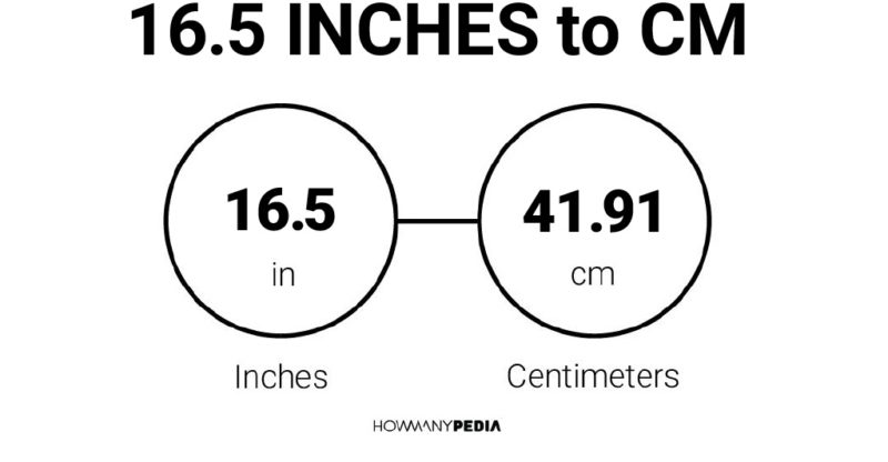 16.5 Inches to CM