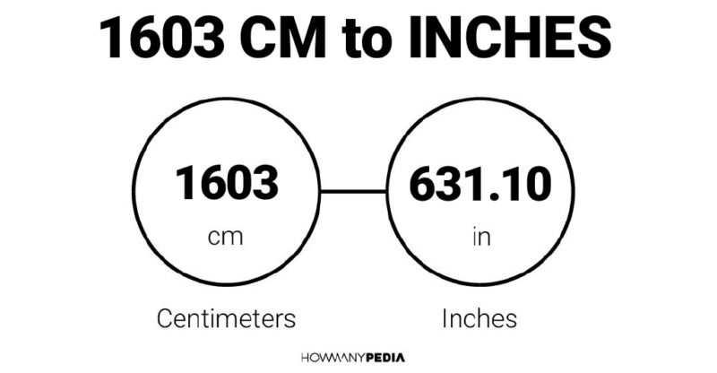 1603 CM to Inches