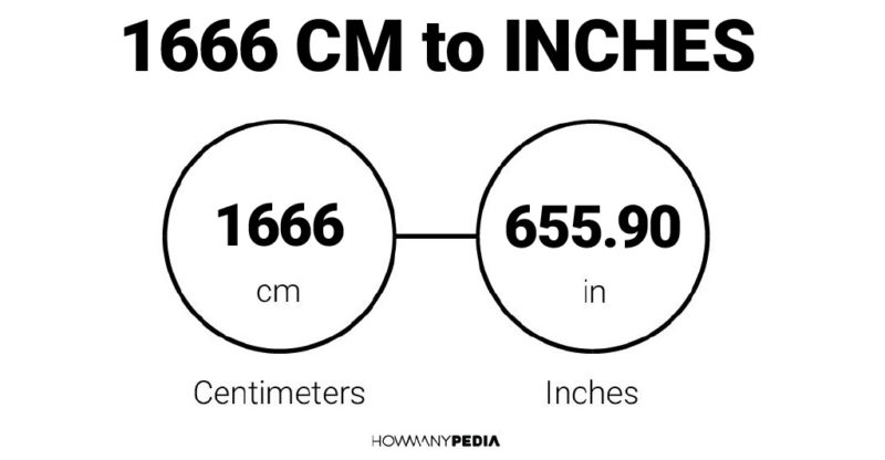 1666 CM to Inches