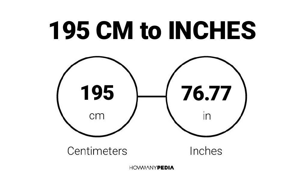 6 0 inch in cm