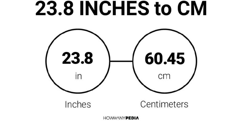 8 inch to cm