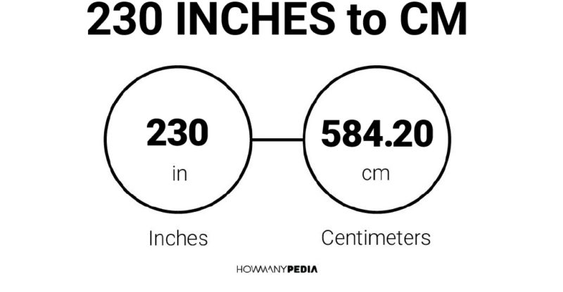 230 Inches to CM