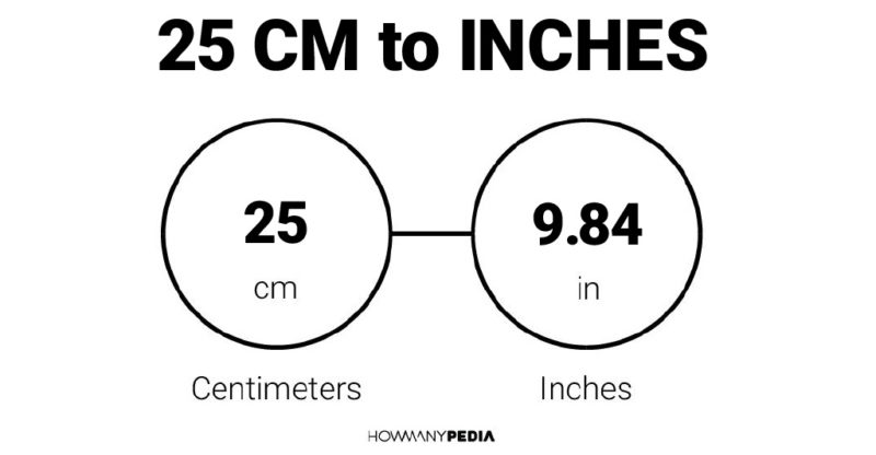 25 CM to Inches
