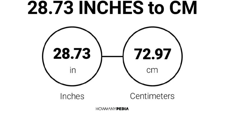 28.73 Inches to CM