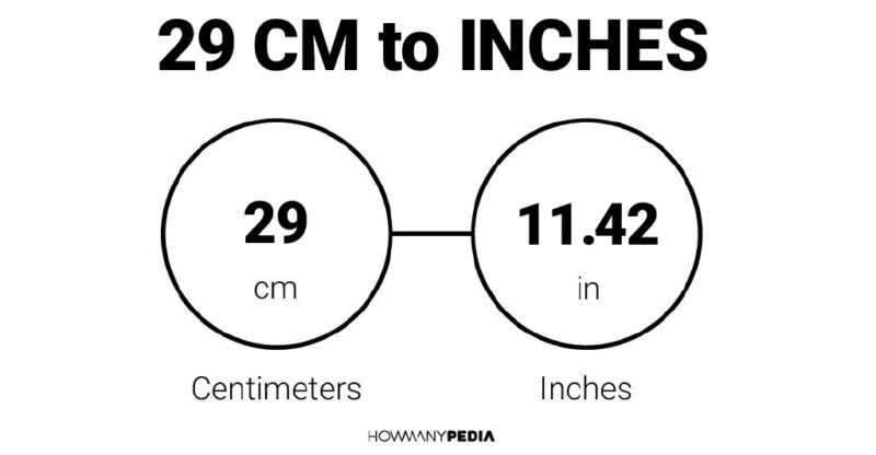 29 CM to Inches
