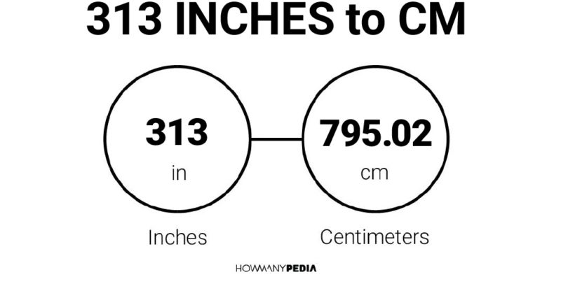 313 Inches to CM