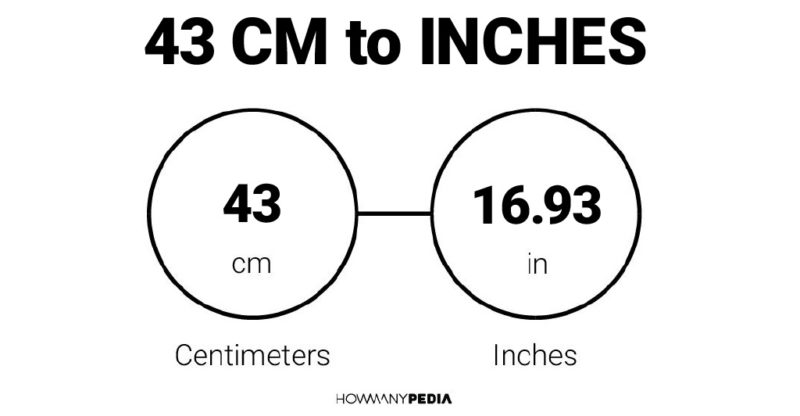 43 CM to Inches