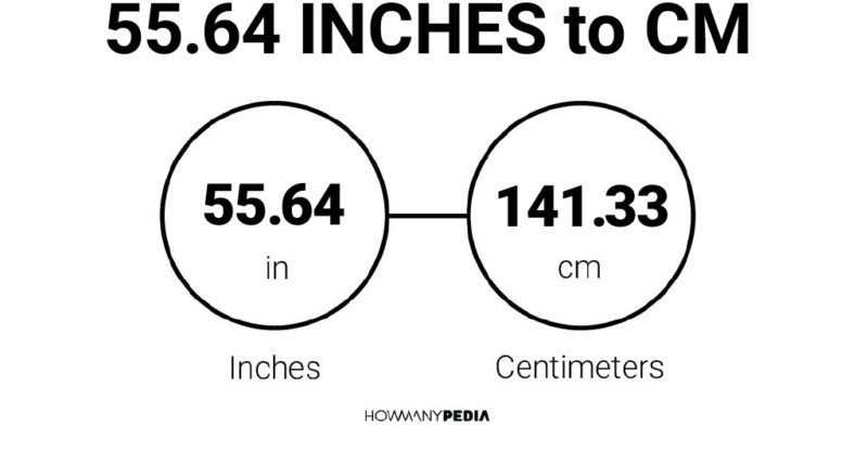 55.64 Inches to CM