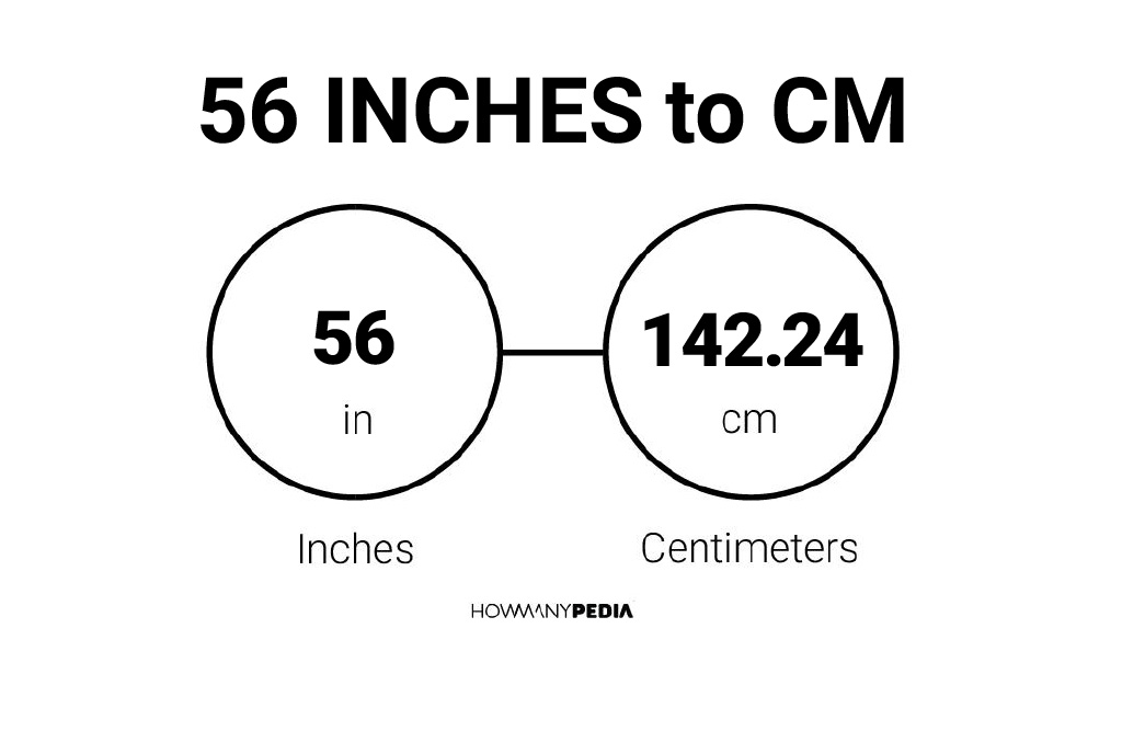 Inch cm 56 to Convert 56