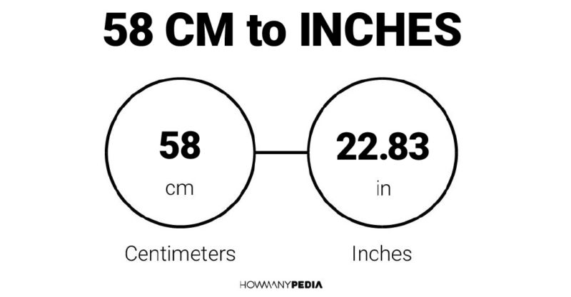 58 CM to Inches