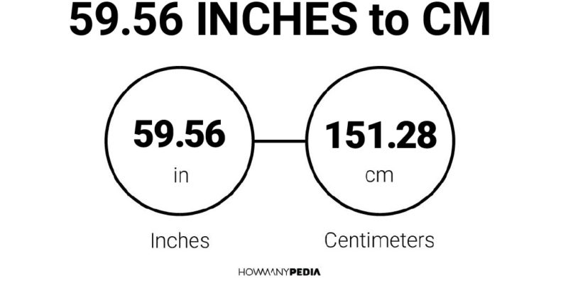 59.56 Inches to CM