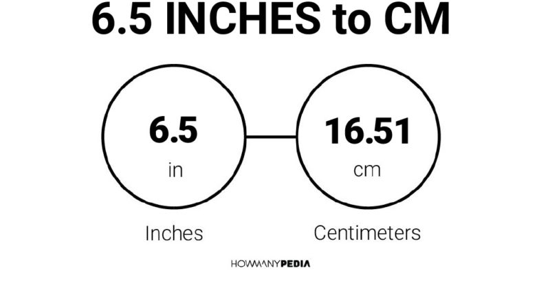 6.5 inches to cm shoes