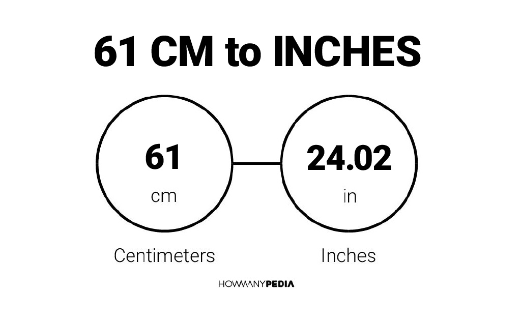 61 cm to inches