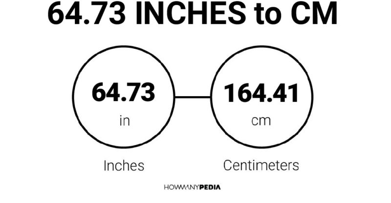 64.73 Inches to CM