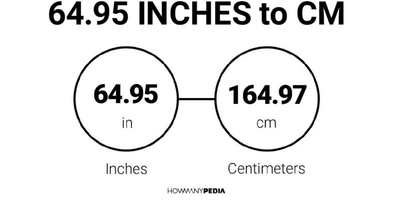 64.95 Inches to CM