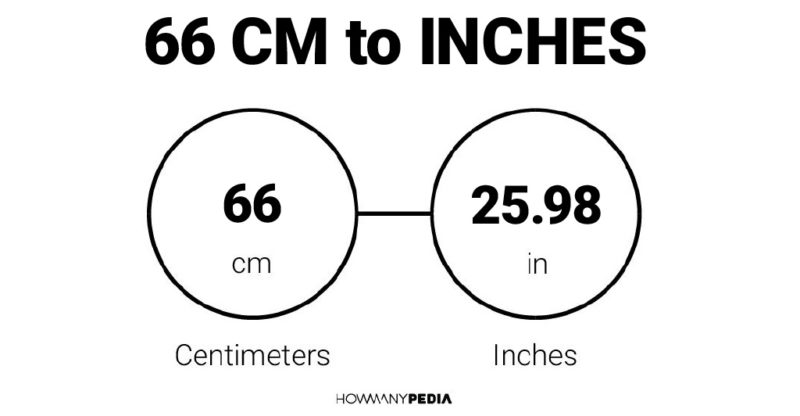 66 CM to Inches