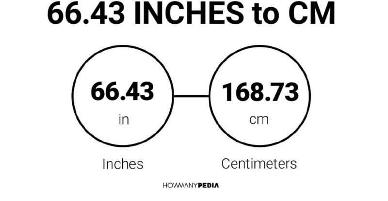 66.43 Inches to CM