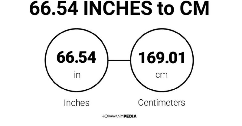 66.54 Inches to CM