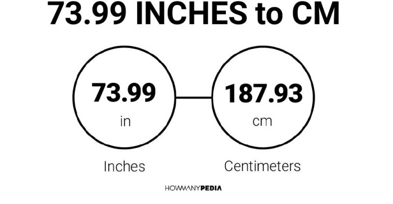 73.99 Inches to CM