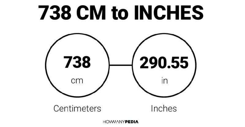 738 CM to Inches