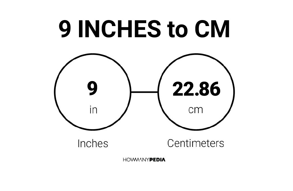 9 inches to cm shoe size.