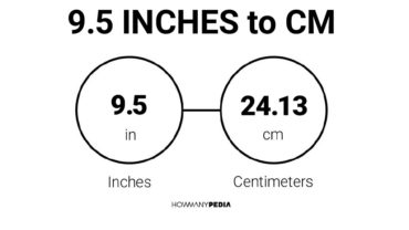 9.5 Inches to CM