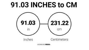 91.03 Inches to CM