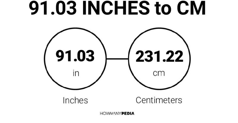 91.03 Inches to CM