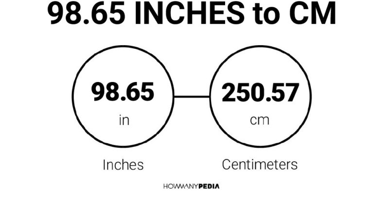 98.65 Inches to CM