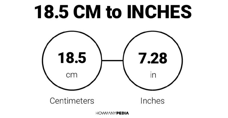 18.5 CM to Inches