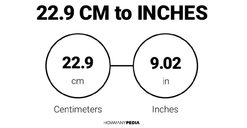 22.9 CM to Inches