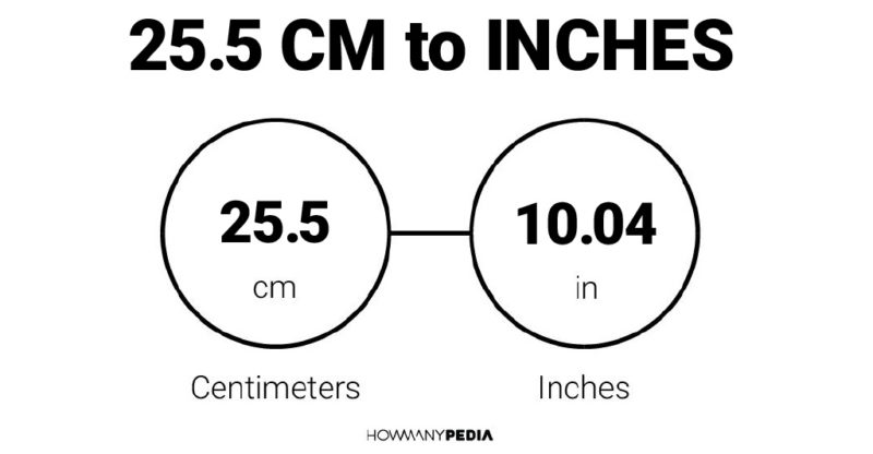25.5 CM to Inches