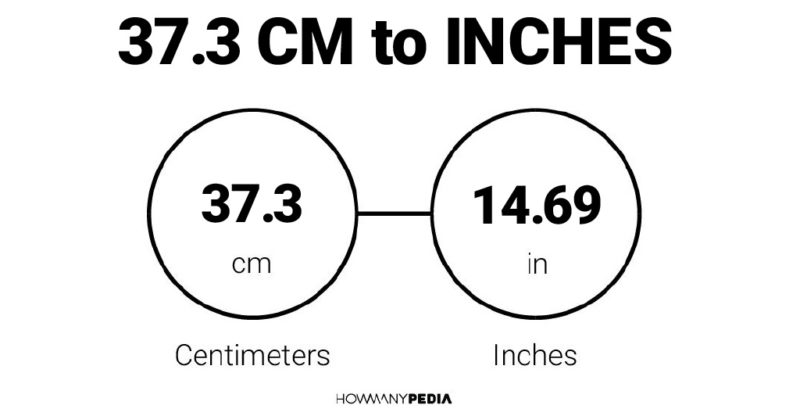 37.3 CM to Inches