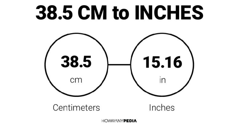 38.5 CM to Inches