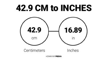 42.9 CM to Inches