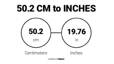 50.2 CM to Inches